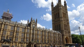 Agriculture Bill amendments set to go before the House of Lords in June