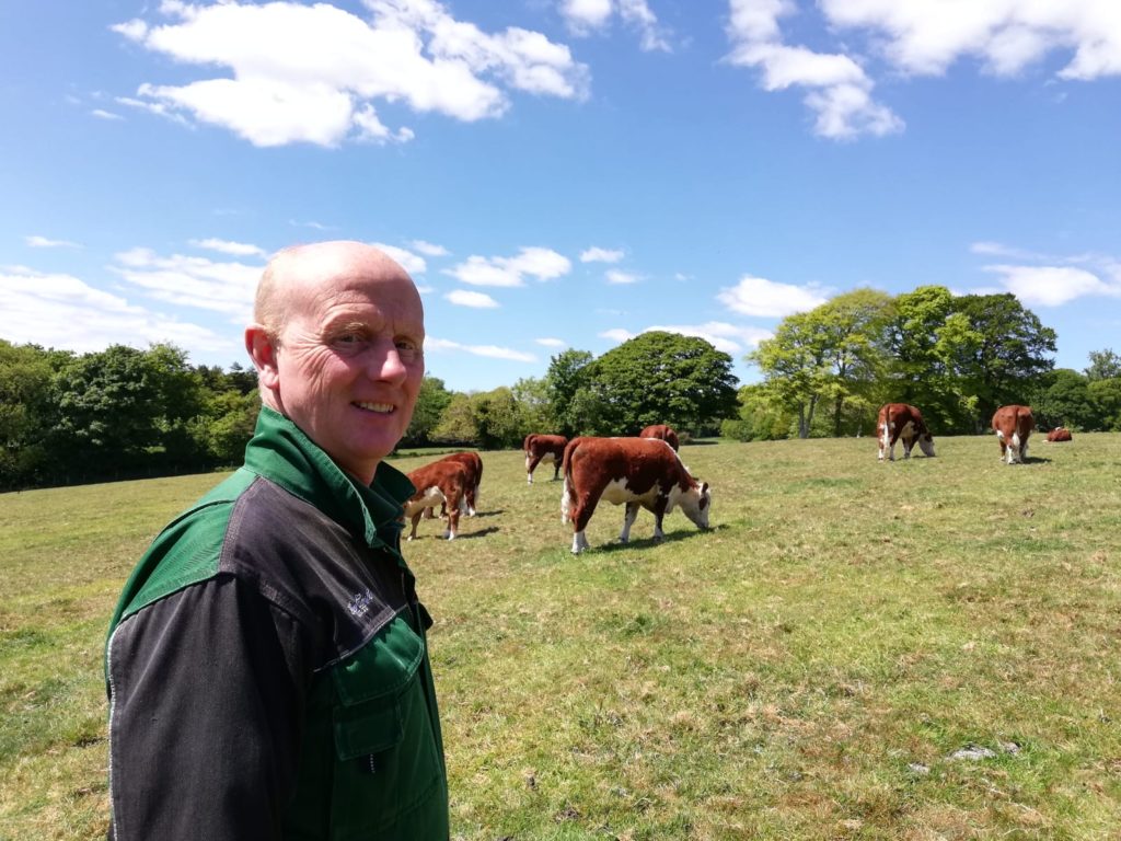 Image-source-HCC-2019-Calving-interval-data-for-beef-dams-in-Wales-released-1