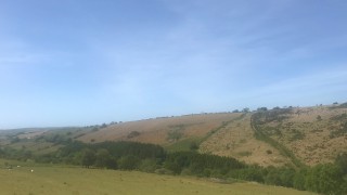 Dry weather hindering grass growth on livestock farms across the UK