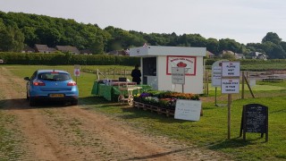 Fruit farm’s new drive-thru proves instant hit