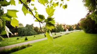 Swedish city dumps chicken manure in park to keep visitors away
