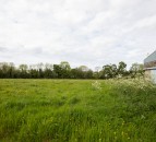 Five nature-recovery projects spanning 100,000ha launched