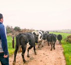 Abbott and Batters debate Brexit and future of UK agriculture in OFC webinar