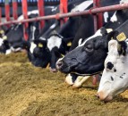 AgriSearch seeks farmers’ views on its work