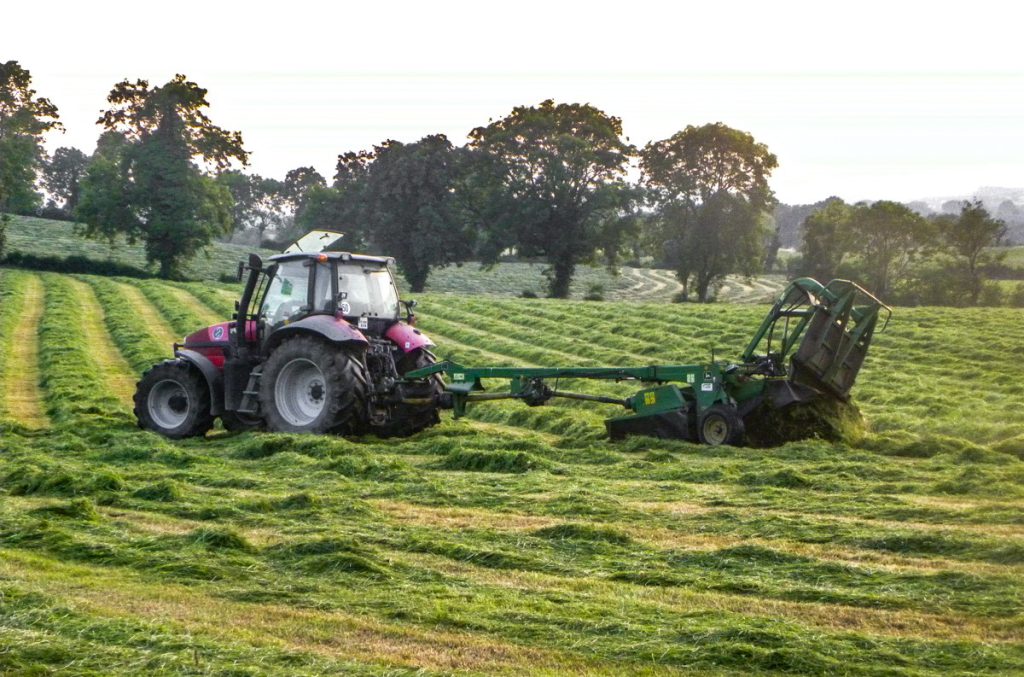 silage