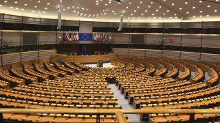 European Parliament inquiry on animal welfare during transport imminent