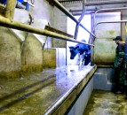 Latest GDT concludes with rise for third consecutive increase