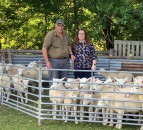 Welsh farmers testing the way for effective worming treatments