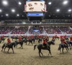 Canada’s Royal Agricultural Winter Fair cancelled for 2020