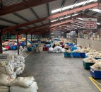 UK wool price to average 32p/kg for 2019-2020 clip