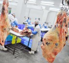 Over 1,000 employees in German meat plant test positive for Covid-19