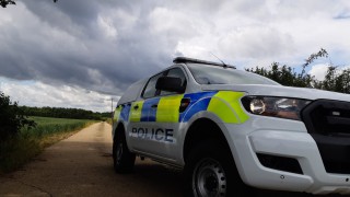 Over 100 lambs stolen from a farm in Cumbria