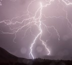 9 cows dead following lightning strike in Clare