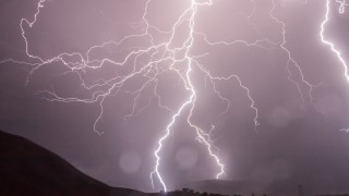 9 cows dead following lightning strike in Clare