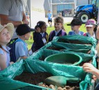 Over 900 schools and homes take part in first-ever Virtual Food and Farming Day