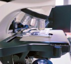 VMD seeks biological assessor for its biologicals team