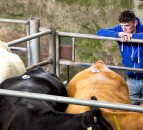 LAA reinforces safety messages ahead of Farm Safety Week