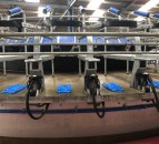 Market analysis: Butter prices continue rise…but still below pre Covid-19 levels