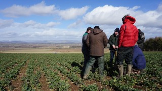 Farming organisations propose ‘Sustainable Food and Farming Scheme’ to government