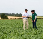 UK sugar beet growers to receive first ever market-linked bonus pay-outs