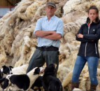 Almost 18,000 sign campaign for wool to be mandated in construction