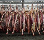 EU predicts drop in meat consumption for 2020