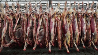 Dawn Meats to take full control of Dunbia