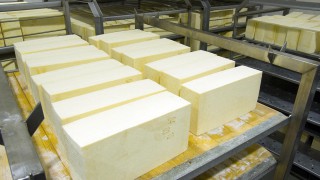 South Caernarfon Creameries delivers record year for profits