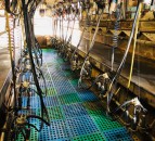 GDT index surge ‘must signal lift in milk price’