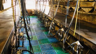 Dairy farmers abstracting water may see changes to their costs
