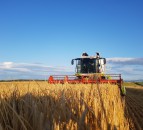 Cereal harvest in GB now 90% complete
