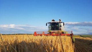 Cereal harvest in GB now 90% complete