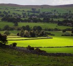 Labour Party must make food and farming priorities clear - TFA