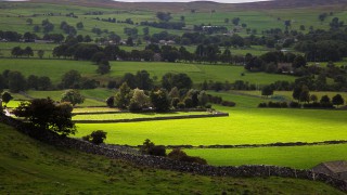 Rural businesses set to lose £315 million in aftermath of budget – CLA