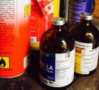 RCVS Council votes to extend temporary remote prescribing guidance