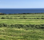 Thinking about making third-cut silage? Here’s a few things to keep in mind…