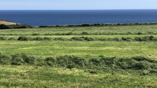 Report: How did land values fare across the UK during 2020?