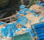 2t of meat waste dumped in Lanarkshire burn