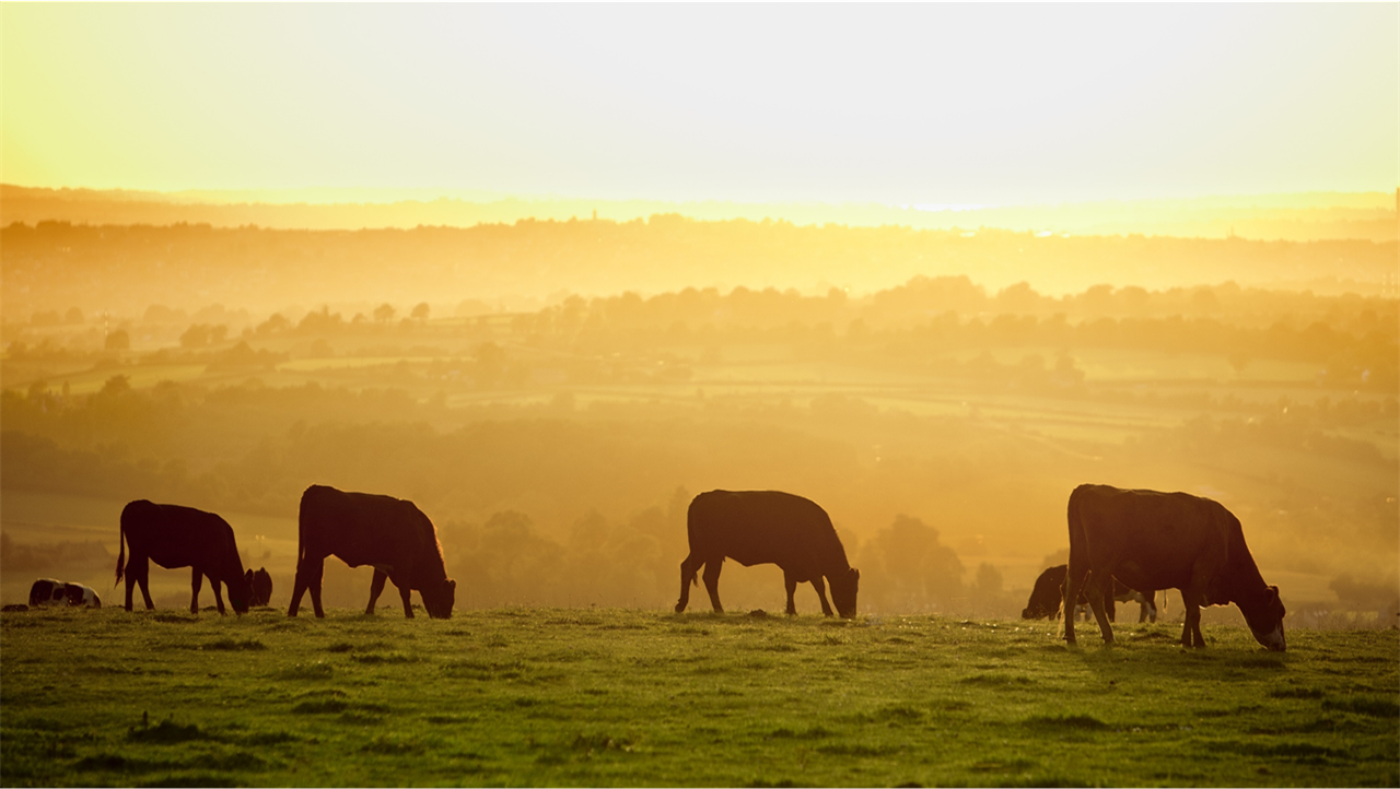 UKHSA issues heat-health alert for 3 UK regions