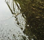 Weekend weather: Unsettled conditions with wind and rain
