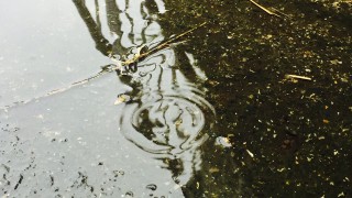 Weekend weather: Unsettled conditions with wind and rain