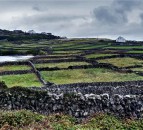 Field names project ploughs ahead with fascinating insights