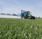 Wheat DNA shows visually clean crops had high levels of Septoria