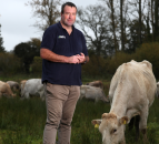'Badger culling delivers reductions in bovine TB of up to 66%' - NFU