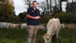 ‘Badger culling delivers reductions in bovine TB of up to 66%’ – NFU