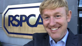 ‘MPs must follow the Lords vote to ban lower animal welfare imports’ – RSPCA