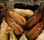 Market prices well up despite potential 'clouds on the horizon'
