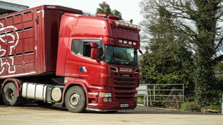 Consultation proposals will cause ‘significant disruption to livestock transportation’