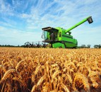 Greening requirements to be scrapped in NI from 2021
