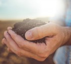 NIAB Soil Hole to be demonstrated at Cereals